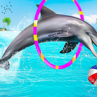 Dolphin Water Stunts Show Online