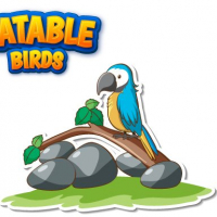 Eatable Birds Online