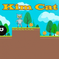 Kim Cat Game Online