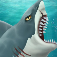 Shark Attack-Casual Online