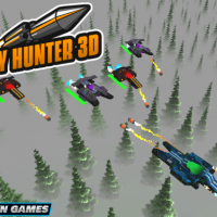 Sky Hunter 3D Online