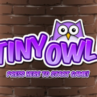 Tiny Owl Online
